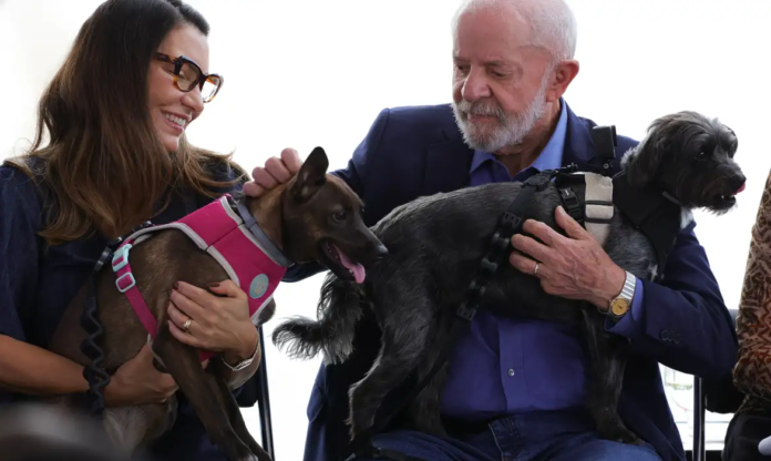 lula_animais.png